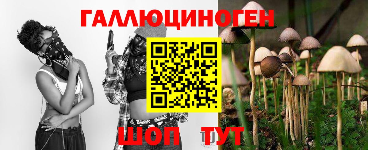 Галлюциногенные грибы мицелий Когалым