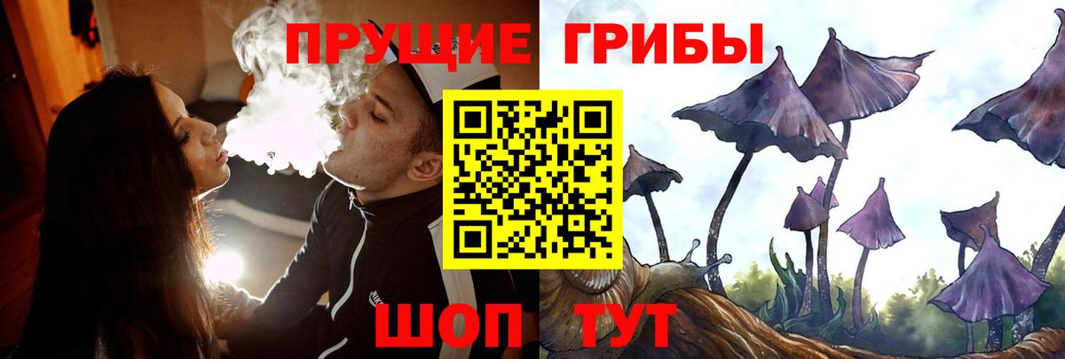 Псилоцибиновые грибы MAGIC MUSHROOMS  Псилоцибиновые грибы мицелий  Когалым  Вход с VPN 